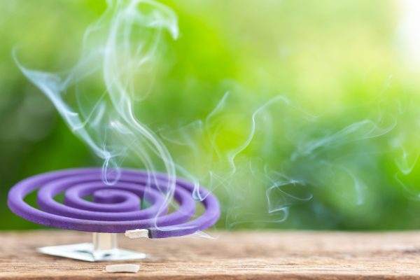 Burning mosquito coil in backyard